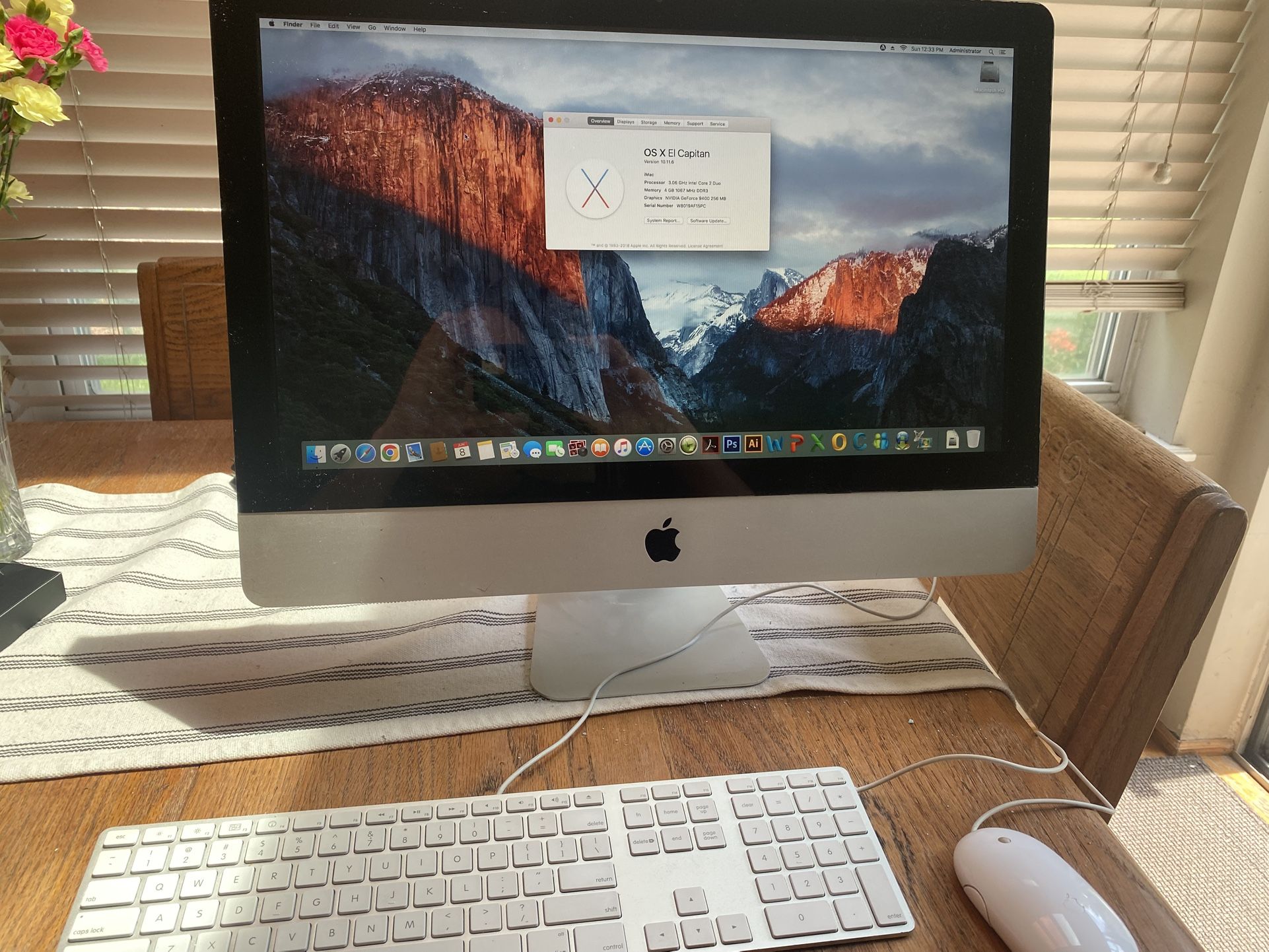 2009 iMac