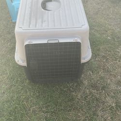 Dog Cage 