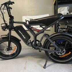 Brand New Fat Tire E-Bike G60 Pro