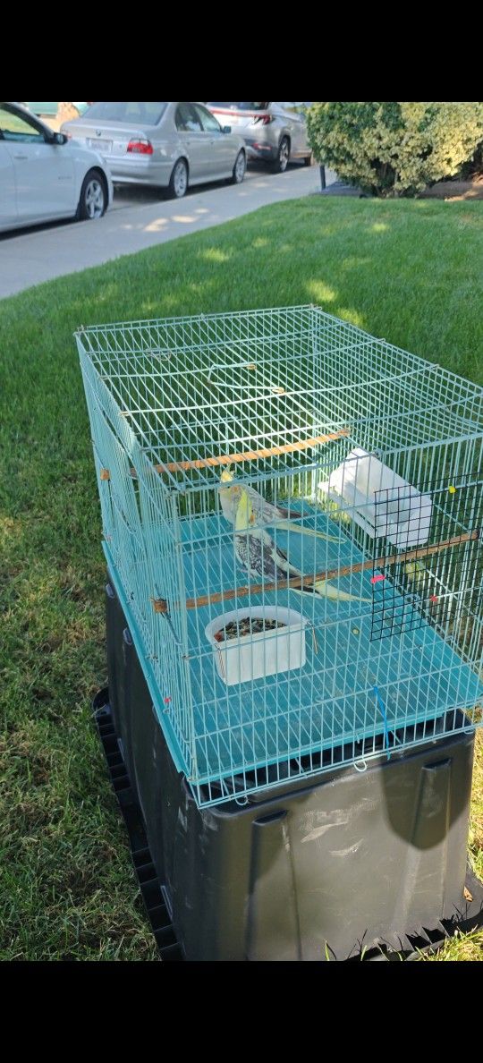 Jaula Para Pajaros