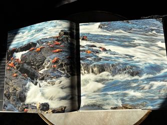 Celebrity Cruises Galapagos Coffee Table Book