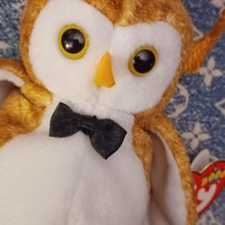 Only 5$ Ea TY PLUSH BEANIE BABIES COLLECTOR BEANI CAT, WISEST OWL, GOATEE GOAT w/Tag Errors in CONTAINERS