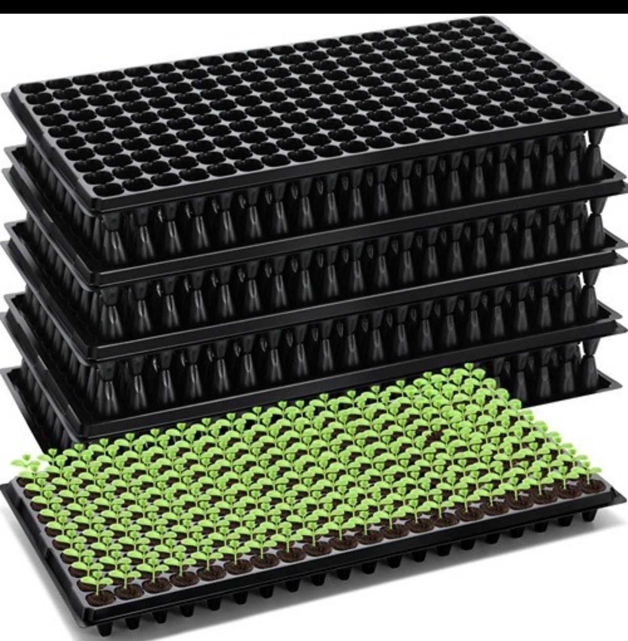 Seed Starter Kit