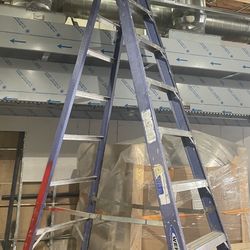 Ladder 10 Ft
