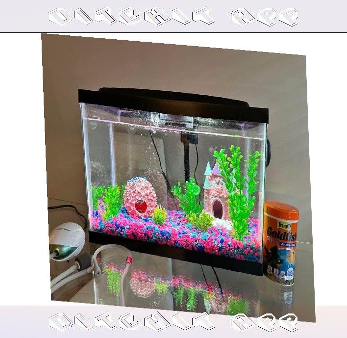 Ready-Made Aquarium Kit - Explore Underwater Beauty public often