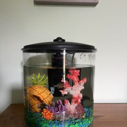 2 Aquariums 