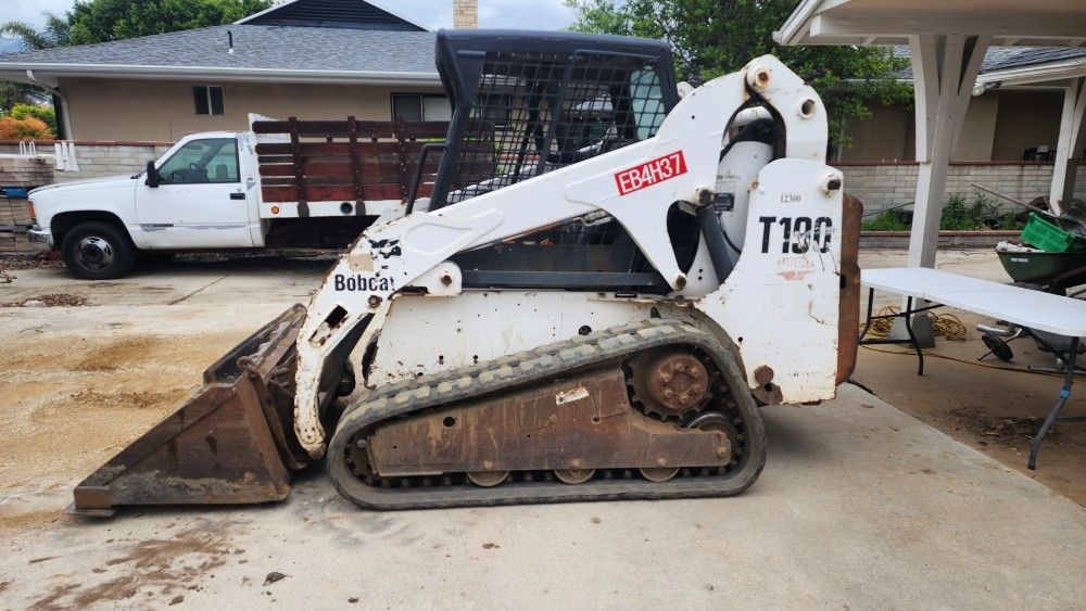 Bobcat