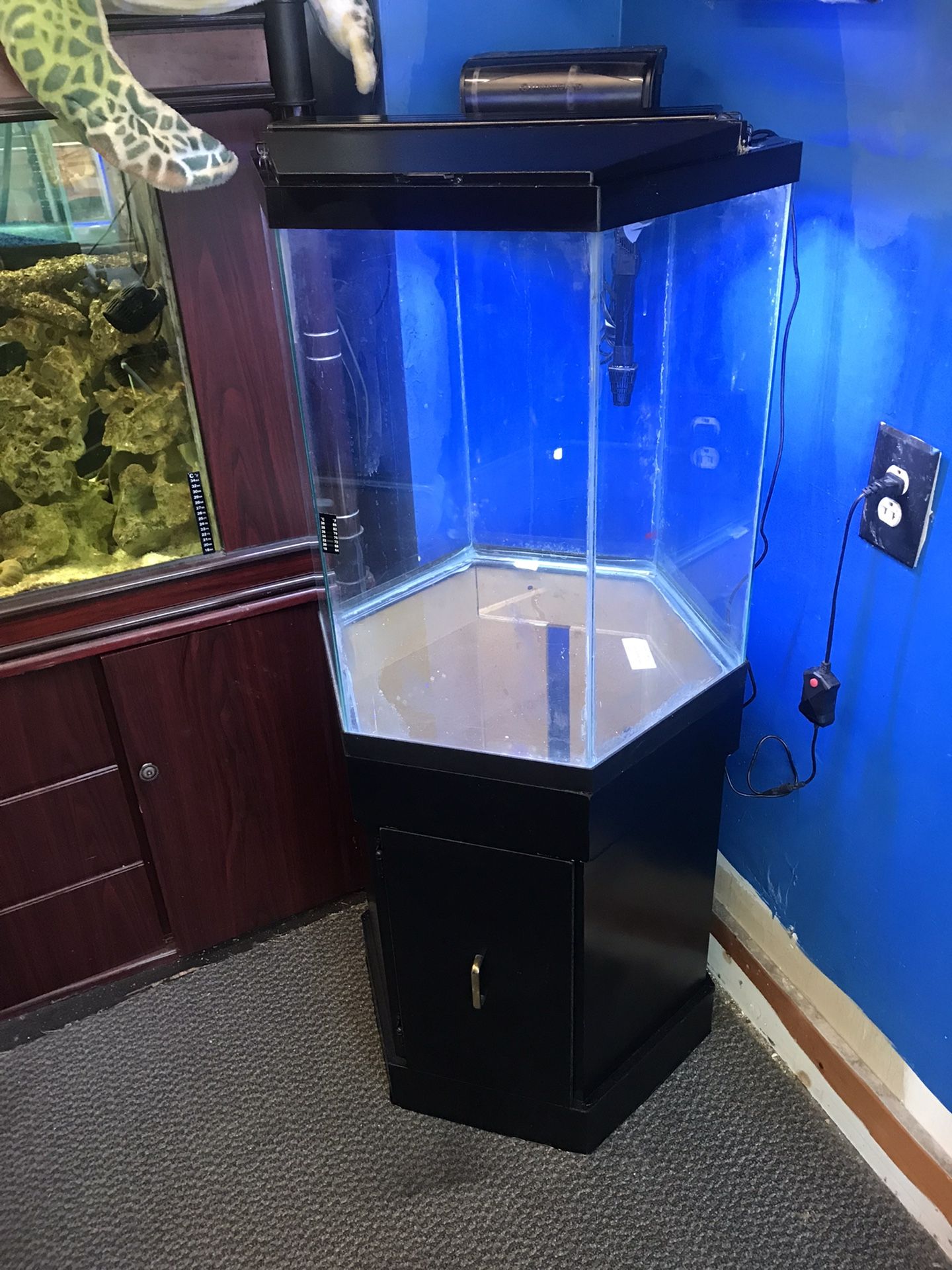 35 gallon Hexagon Aquarium Fish Tank Complete $300