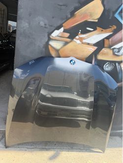 BMW X4 G02 X3 G01 ORIGINAL OEM FRONT HOOD BONNET 2019-2025