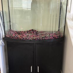 🌊 For Sale: 36- Gallon Bow Front Aquarium + Stand & Supplies! 🌊 