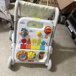 Skip Hop Baby Walker 