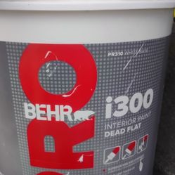 Behr Pro Dead Flat Paint 5 Gallon