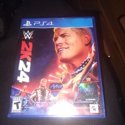 PS4 WWE 24