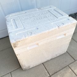 12 Bottle Wine Transportation Box