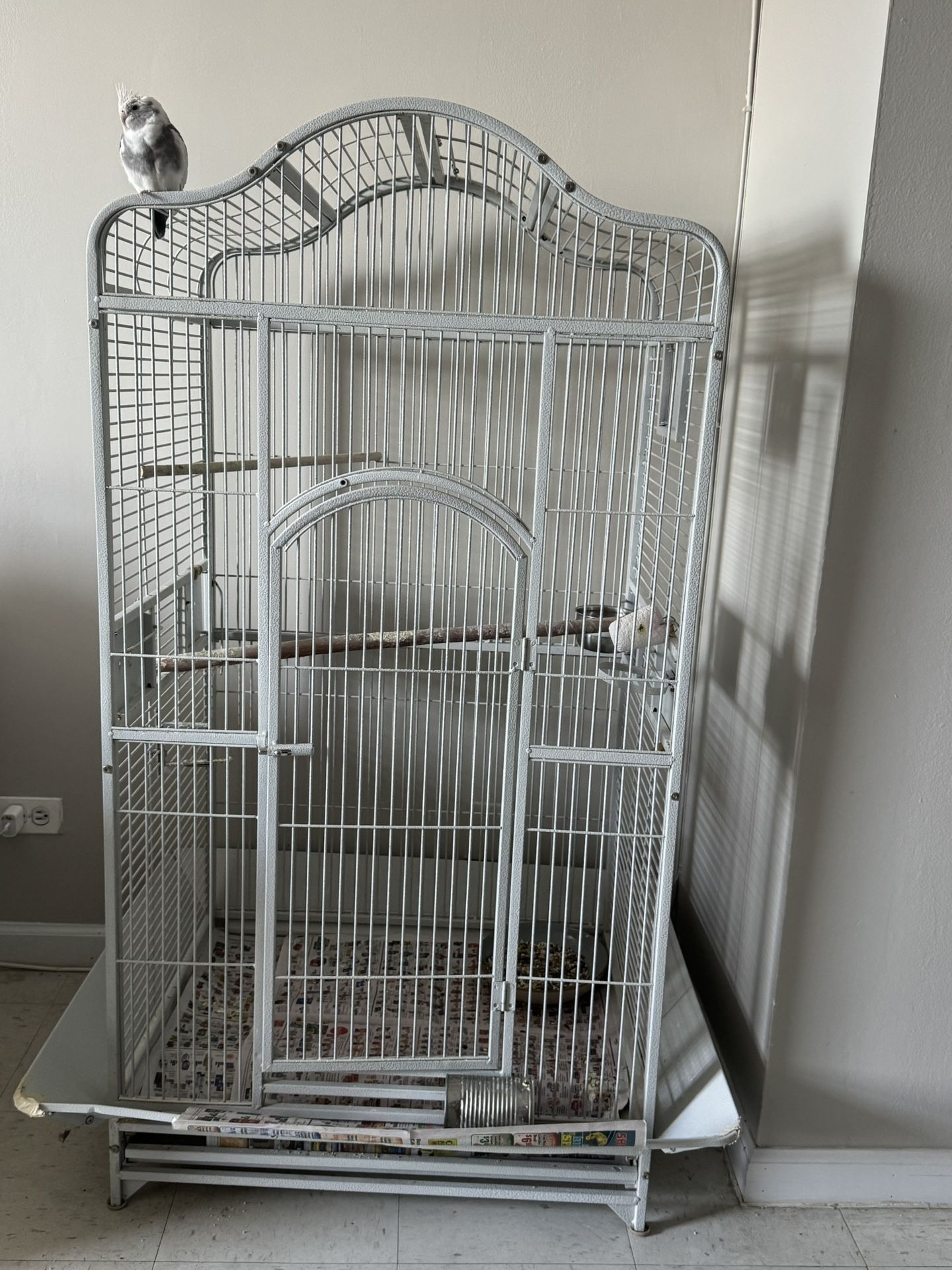 Bird Cage