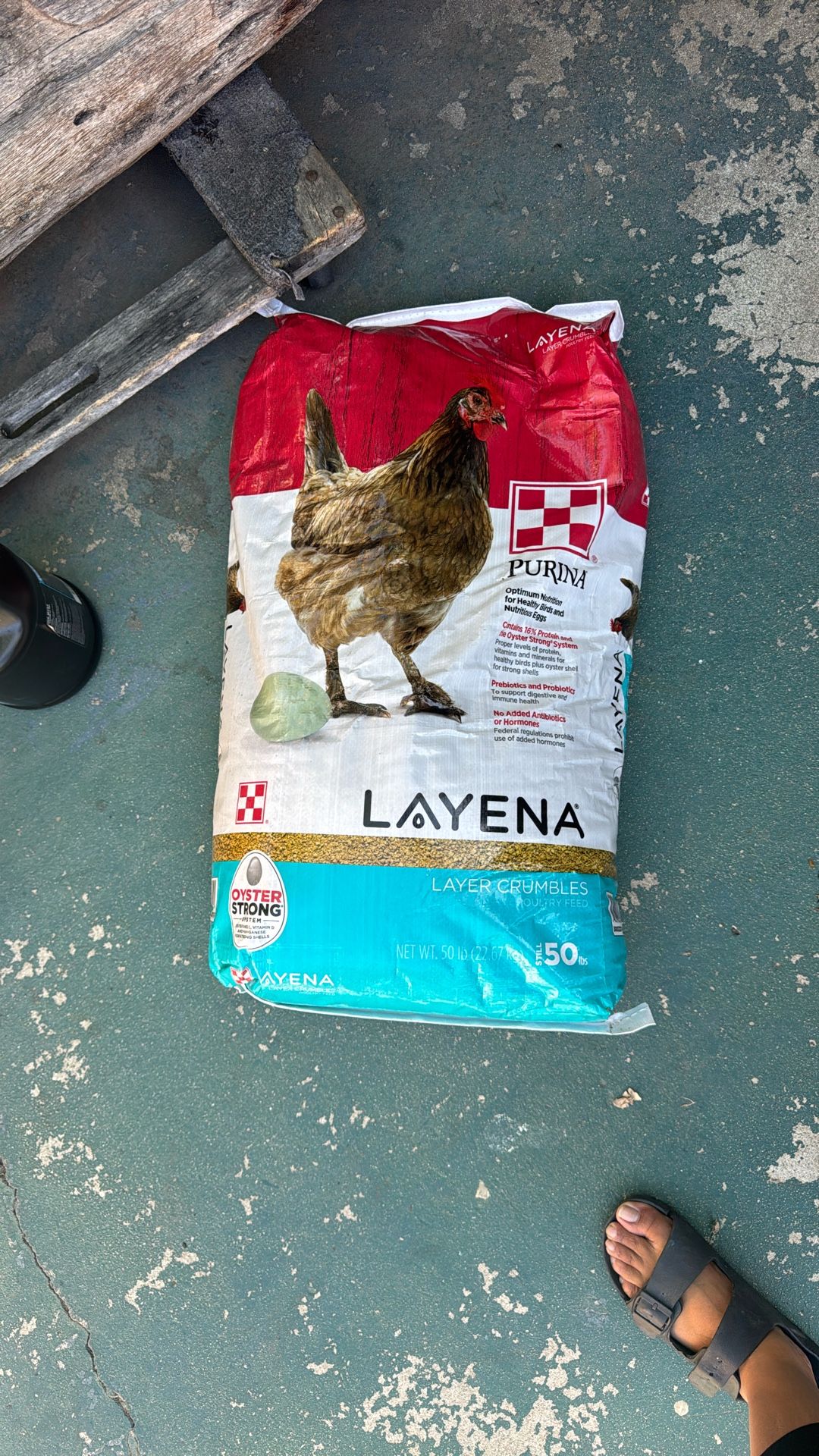 Free Bag Of Chicken Feed Layer Crumbles