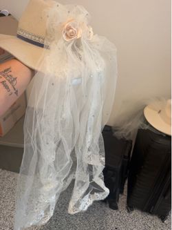 Cowboy hat with veil