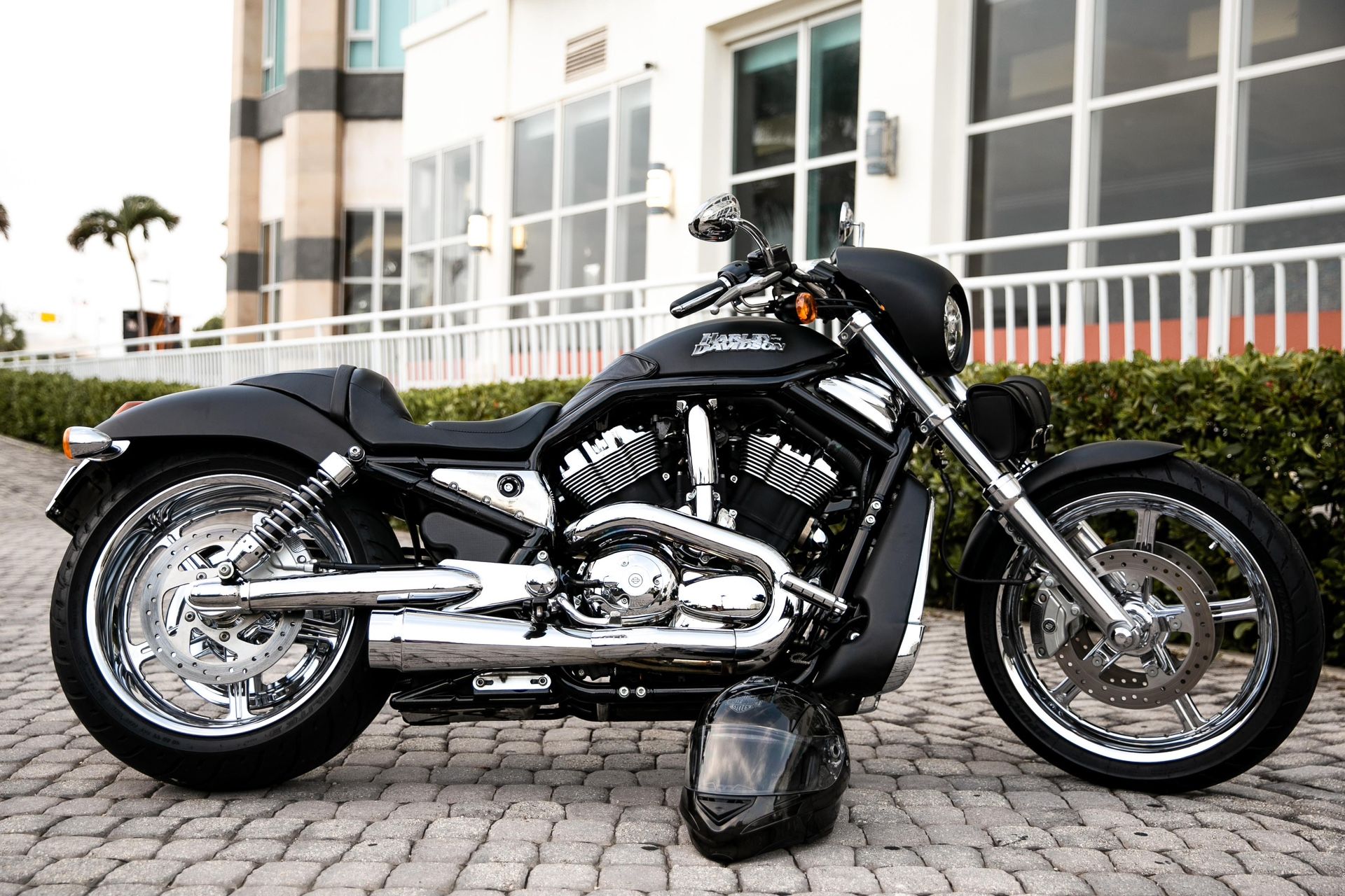 2006 Harley Davidson VROD VRSCD