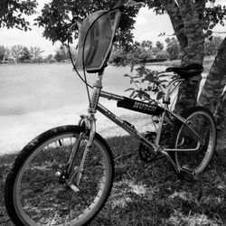 BMX Hutch Pro Raider