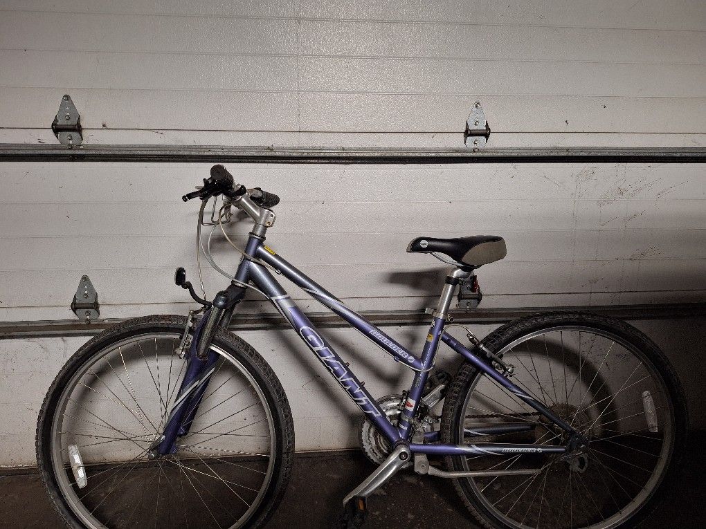bicycle giant purple