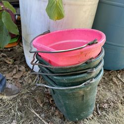 Flat backed buckets (3) 25$,and feed tubs (3) 40$