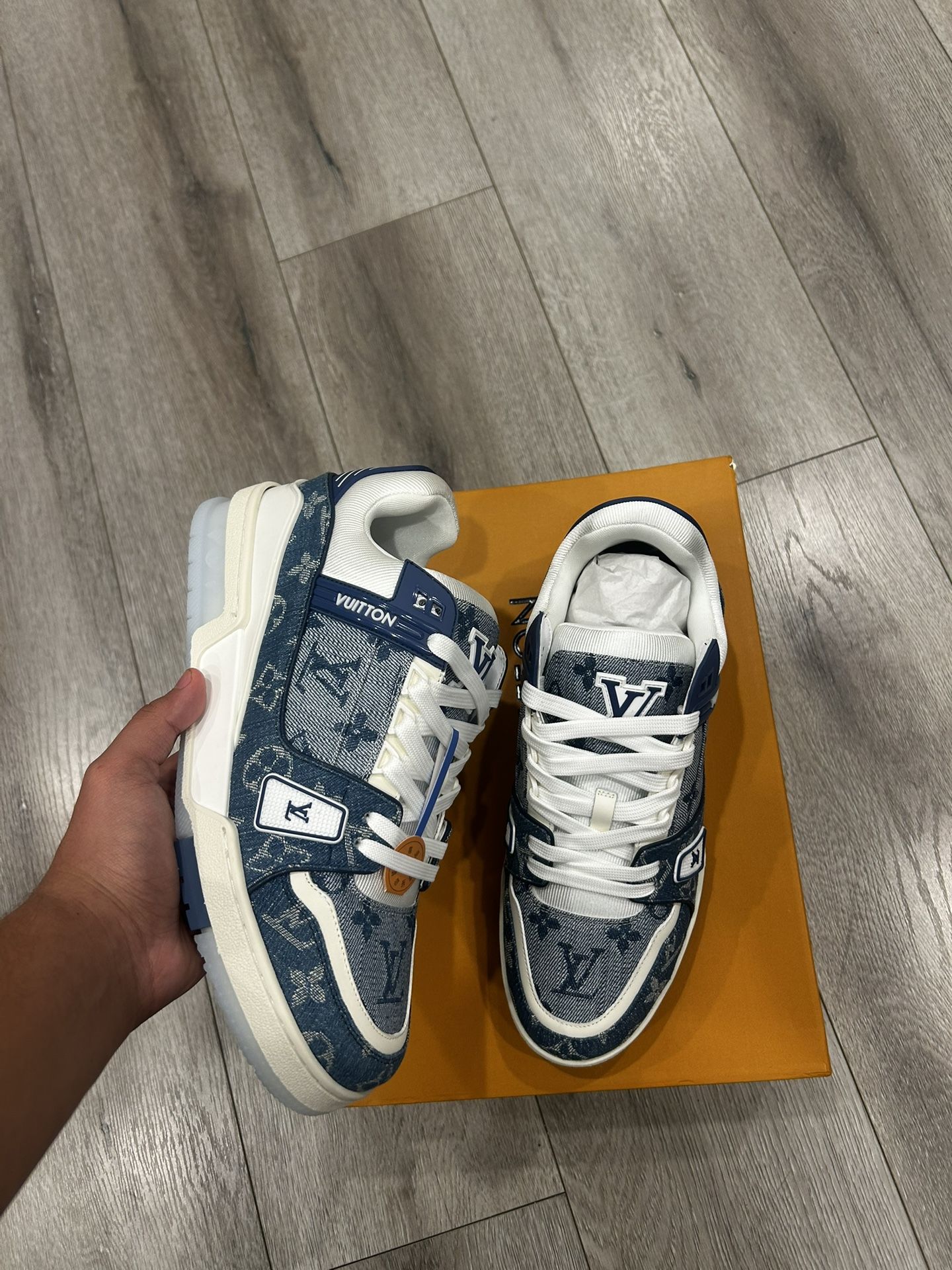 LV Trainer