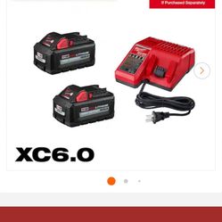 Milwaukee Battery Pack & Charger