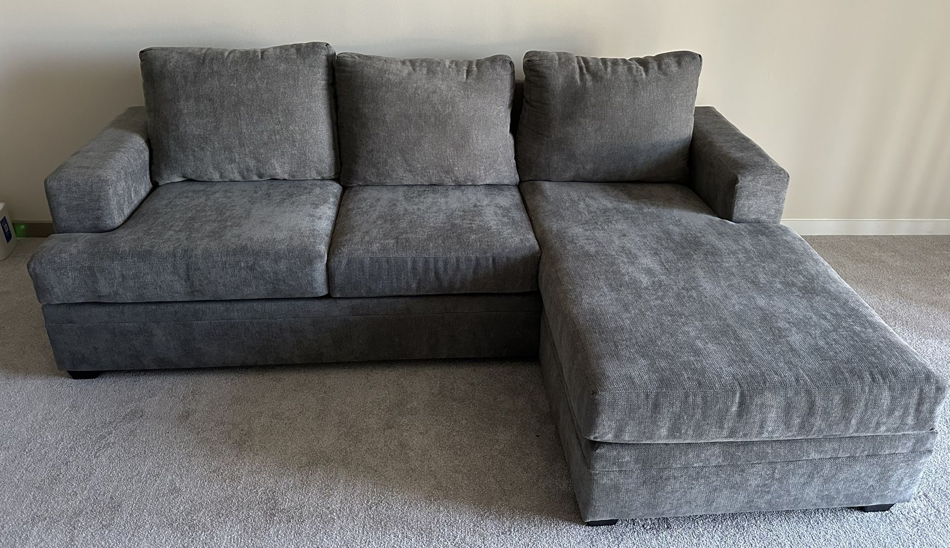 Brand New Couch — $500