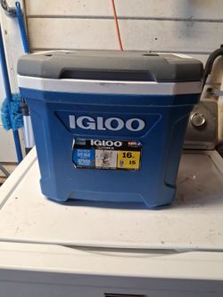 Igloo  16qt cooler