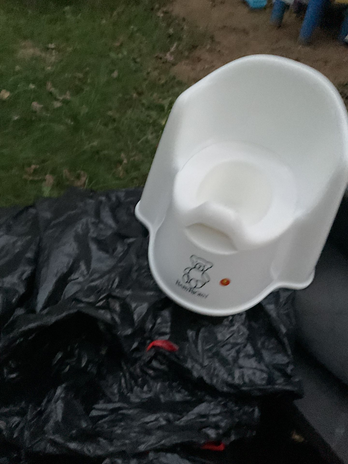 A Good Patty Training For Your Toddler For Only $5 (NO SHIPPING)