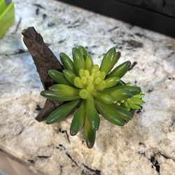 Aquarium decoration, fake plants and wood