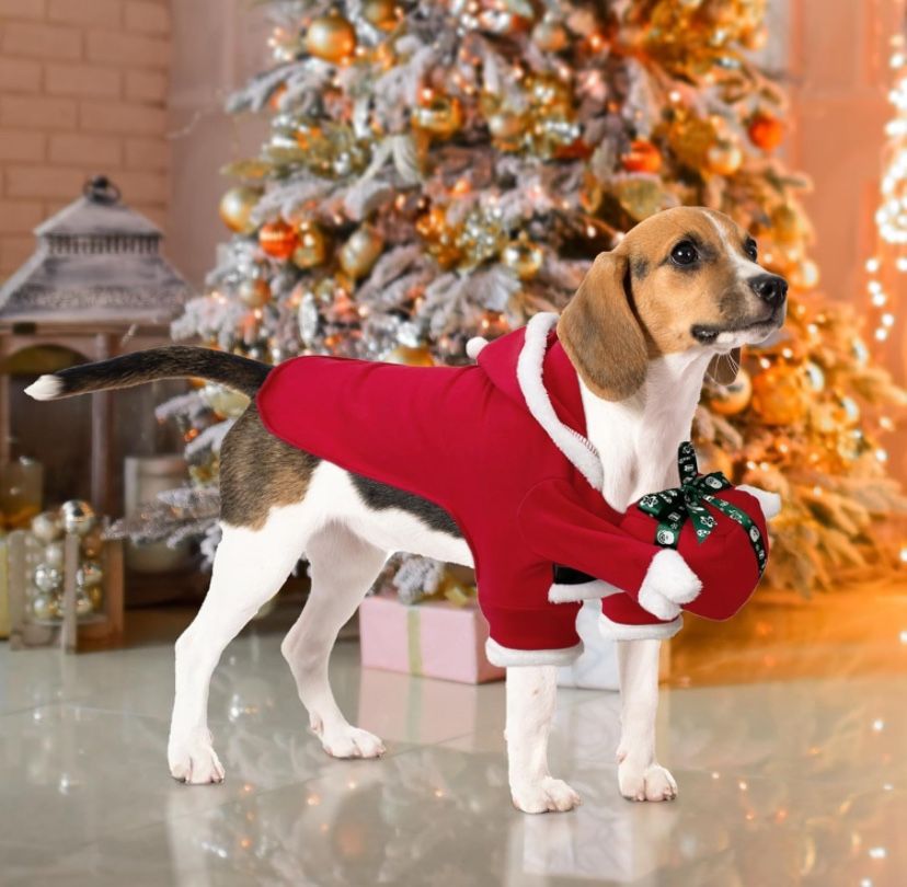 Dog Christmas Costume