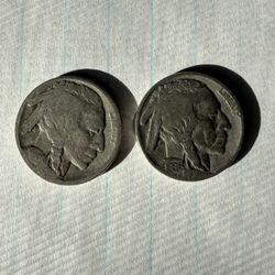 Two Buffalo Nickels 