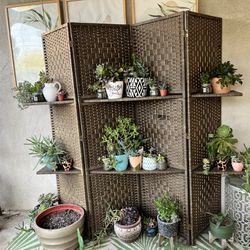 Trifold Plant Stand 