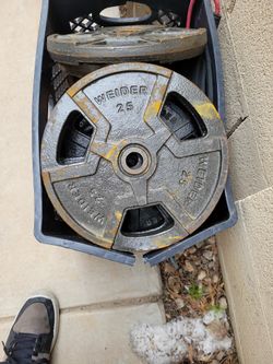Weider 25lb Weights!