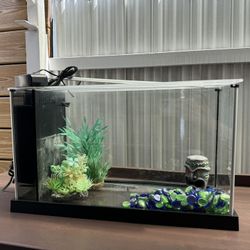 Fish Tank 