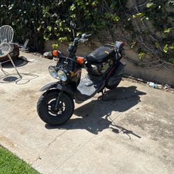 2005 Honda Ruckus