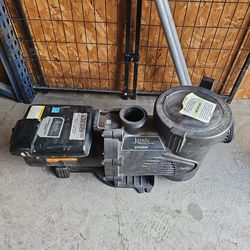 Jandy Variable Speed Pump (No control)