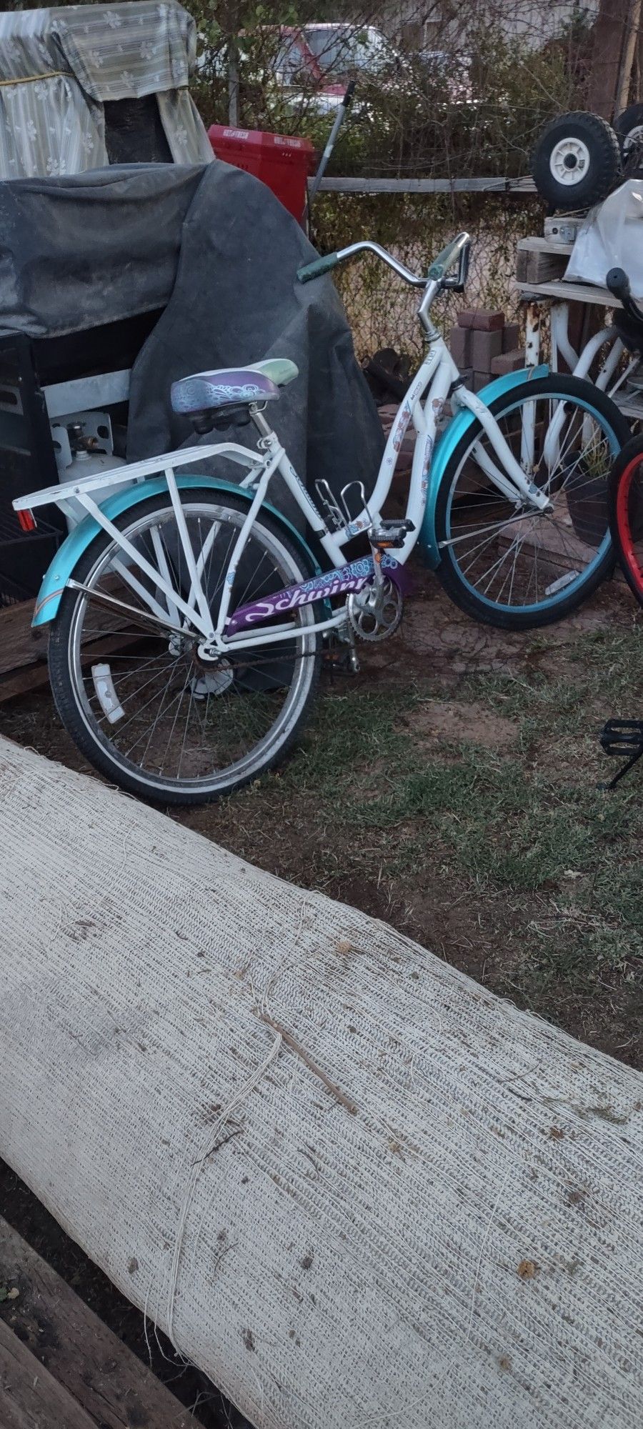 A Women's Schwinn Cruiser Bike