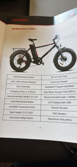 Electric bike