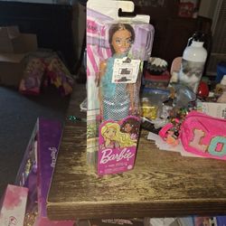Black Barbie  Doll