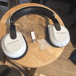 Turtle Beach 