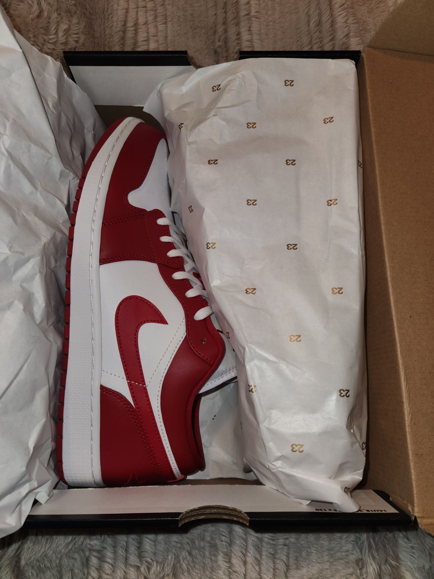 Nike Air jordan low 12.5 mens