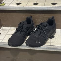Pumas 