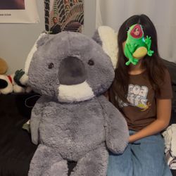 Big koala bear