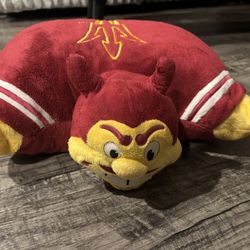 ASU pillowpet 