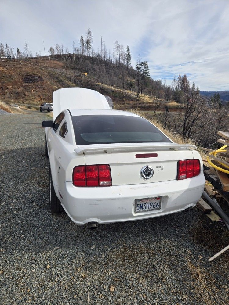 2005 Ford Mustang