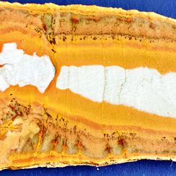 Blue Mustang Owyhee Picture Jasper, Oregon High Quality Cab Stone Slab Slice 