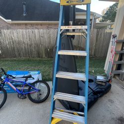 Werner 6ft Ladder