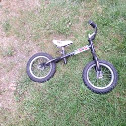 Zoom 12 Inch Push Bike